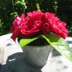 Un bouquet de roses rouges éclatantes dans un pot en métal, avec un poteau rose en arrière-plan.