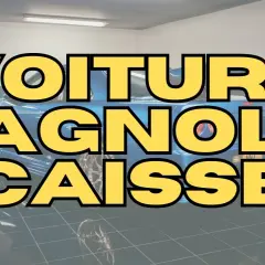 La bagnole, cette caisse de compétition, est prête à rugir.