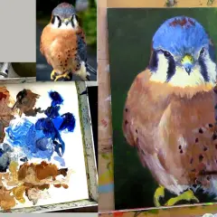 Un artiste apprend à peindre sur toile un faucon crécerelle, avec une palette de couleurs et une photo de référence.