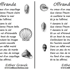 Poésie "Offrande" d'Esther Granek, avec des illustrations de coquillages. Une belle offrande poétique.