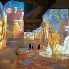 Immersion dans un univers floral et coloré, où les portraits de Frida Kahlo se mêlent à un **plein vide** d'art projeté sur les murs et le sol.