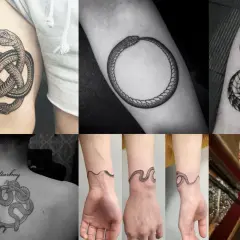 Collage de tatouages de serpent qui se mord la queue, symbolisant l'éternité et le cycle de la vie.