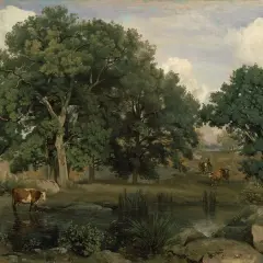 Vache dans un étang, paysage boisé. Une scène qui pourrait figurer sur une liste des peintres de l'école de Barbizon.