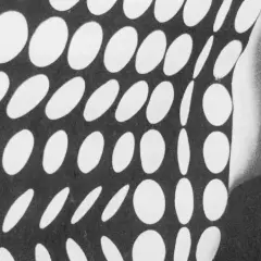 Un homme pose devant une œuvre op art de Vasarely, un motif de cercles blancs sur fond noir créant une illusion de mouvement.