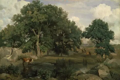 Vache dans un étang, paysage boisé. Une scène qui pourrait figurer sur une liste des peintres de l'école de Barbizon.