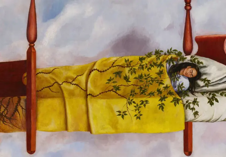 Frida Kahlo, dans cette peinture connue, dort dans un lit, enveloppée d'une couverture jaune ornée de ronces et de feuilles.