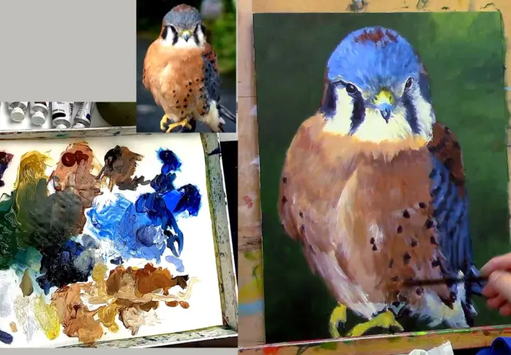 Un artiste apprend à peindre sur toile un faucon crécerelle, avec une palette de couleurs et une photo de référence.