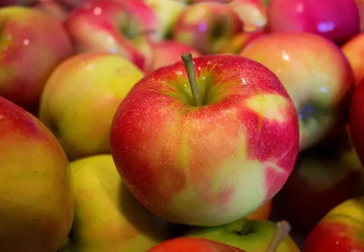 Gros plan sur des pommes rouges et jaunes, rappelant l'origine de l'expression "tomber dans les pommes".