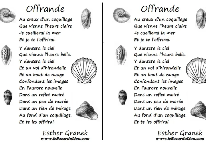 Poésie "Offrande" d'Esther Granek, avec des illustrations de coquillages. Une belle offrande poétique.