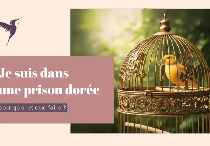 Un canari jaune est enfermé dans une cage dorée ornée, symbolisant une prison dorée. Le texte demande : "Pourquoi et que faire ?