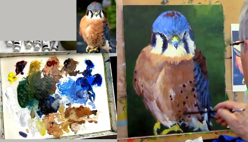 Un artiste apprend à peindre sur toile un faucon crécerelle, avec une palette de couleurs et une photo de référence.