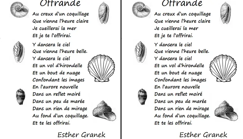 Poésie "Offrande" d'Esther Granek, avec des illustrations de coquillages. Une belle offrande poétique.