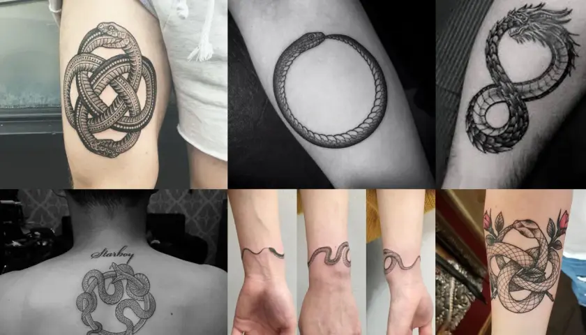Collage de tatouages de serpent qui se mord la queue, symbolisant l'éternité et le cycle de la vie.