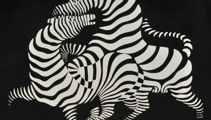Œuvres d'art de Victor Vasarely : des zèbres aux rayures ondulantes s'entremêlent dans une composition optique hypnotique sur fond noir.