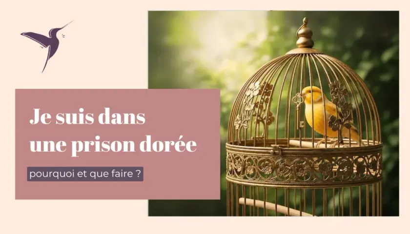 Un canari jaune est enfermé dans une cage dorée ornée, symbolisant une prison dorée. Le texte demande : "Pourquoi et que faire ?