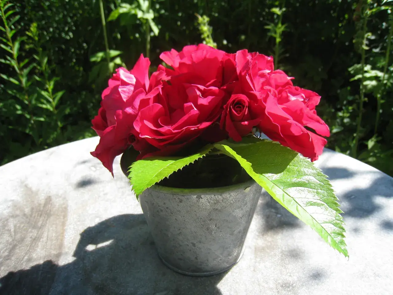 Un bouquet de roses rouges éclatantes dans un pot en métal, avec un poteau rose en arrière-plan.