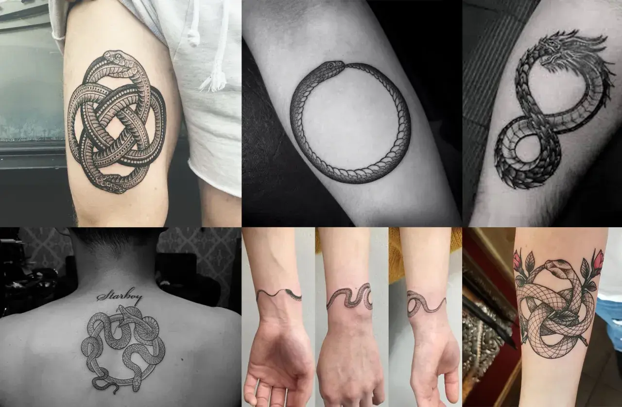 Collage de tatouages de serpent qui se mord la queue, symbolisant l'éternité et le cycle de la vie.