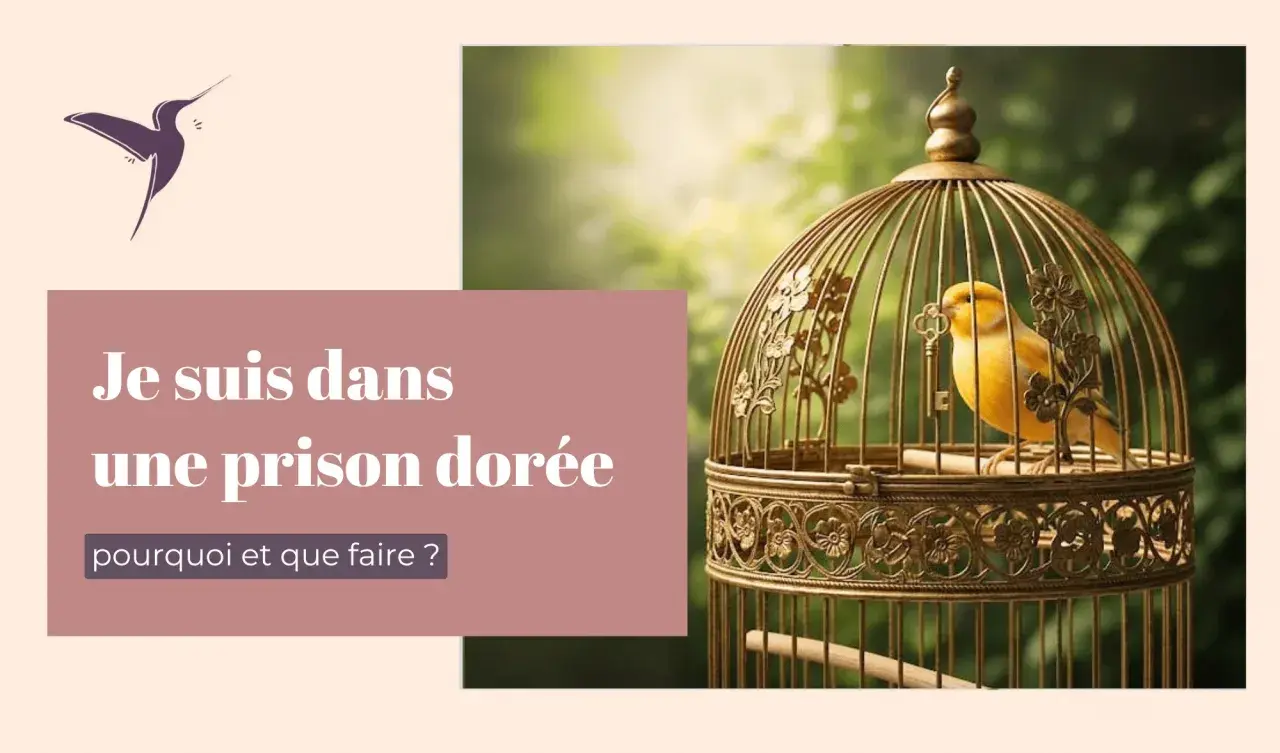 Un canari jaune est enfermé dans une cage dorée ornée, symbolisant une prison dorée. Le texte demande : "Pourquoi et que faire ?